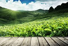 人生就是博(中国)官方网站